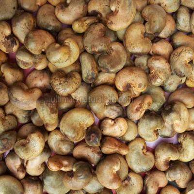 Cashew Nut
