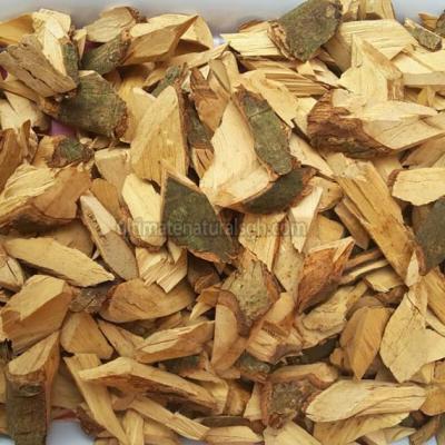 Mussularia Acuminata Cuts