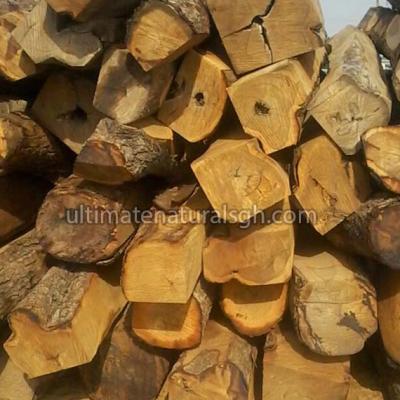 Wood Log1