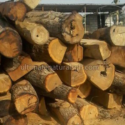 Wood Log2